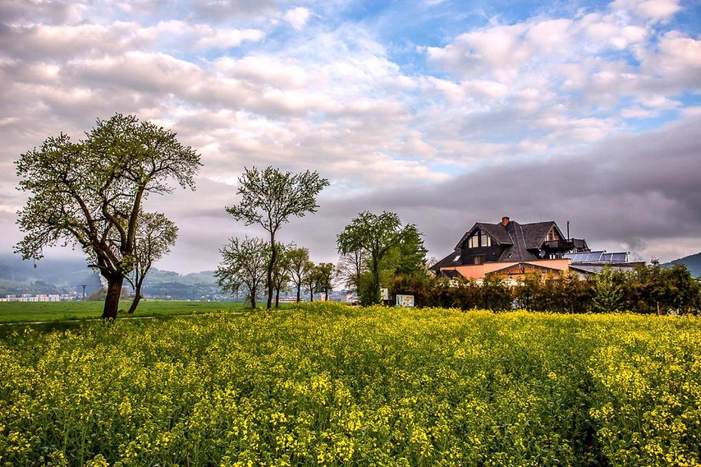 Vila Fenix B&B Ружомберок Экстерьер фото
